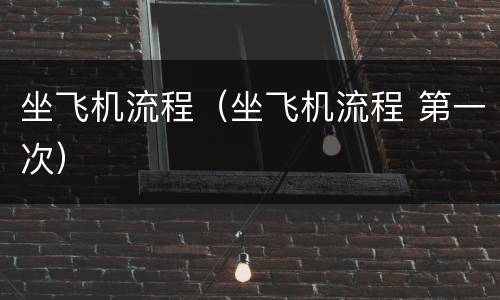 坐飞机流程（坐飞机流程 第一次）