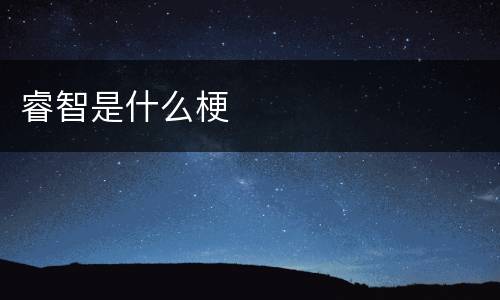 睿智是什么梗