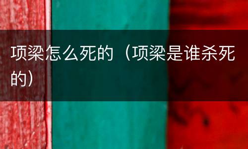 项梁怎么死的（项梁是谁杀死的）
