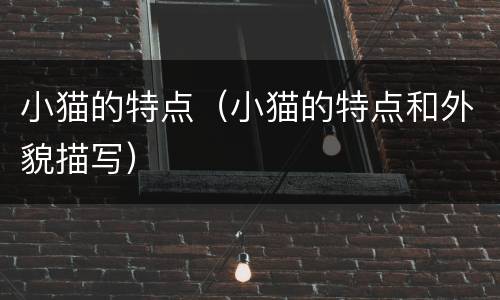小猫的特点（小猫的特点和外貌描写）