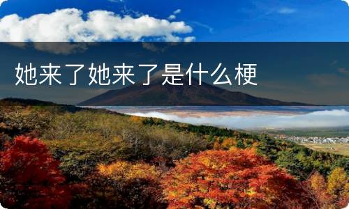 她来了她来了是什么梗