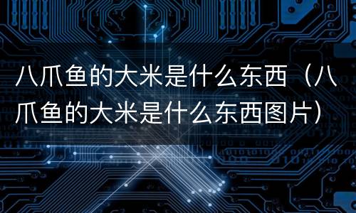 八爪鱼的大米是什么东西（八爪鱼的大米是什么东西图片）
