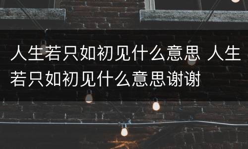 人生若只如初见什么意思 人生若只如初见什么意思谢谢