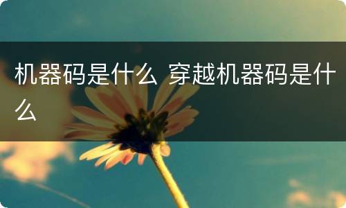 机器码是什么 穿越机器码是什么
