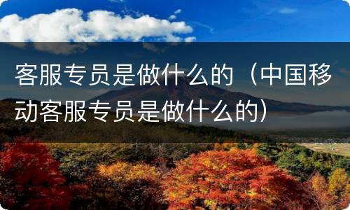 客服专员是做什么的（中国移动客服专员是做什么的）