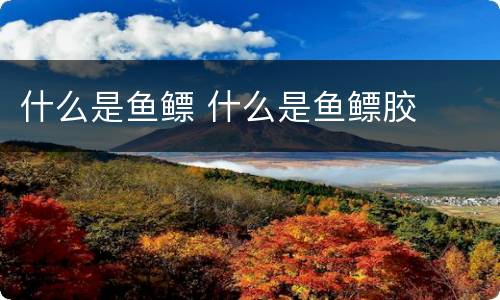 什么是鱼鳔 什么是鱼鳔胶