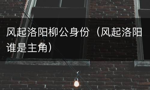 风起洛阳柳公身份（风起洛阳谁是主角）