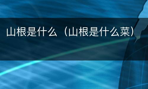 山根是什么（山根是什么菜）
