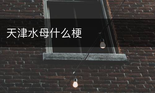 天津水母什么梗