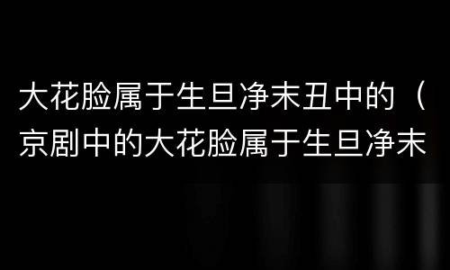 大花脸属于生旦净末丑中的（京剧中的大花脸属于生旦净末丑中的丑吗）