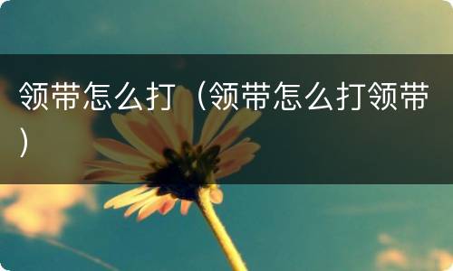 领带怎么打（领带怎么打领带）