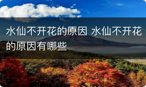 水仙不开花的原因 水仙不开花的原因有哪些