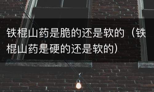铁棍山药是脆的还是软的（铁棍山药是硬的还是软的）