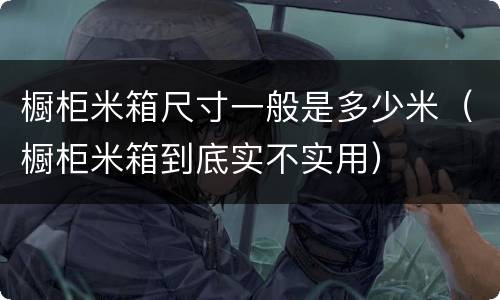 橱柜米箱尺寸一般是多少米（橱柜米箱到底实不实用）