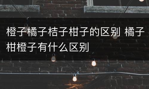 橙子橘子桔子柑子的区别 橘子柑橙子有什么区别