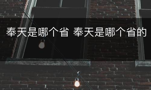 奉天是哪个省 奉天是哪个省的