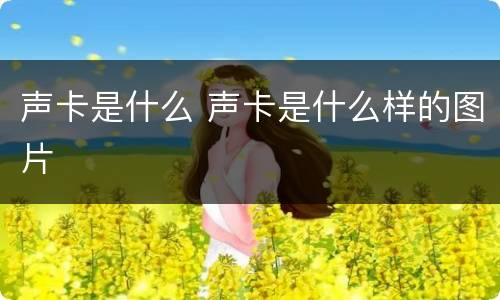 声卡是什么 声卡是什么样的图片