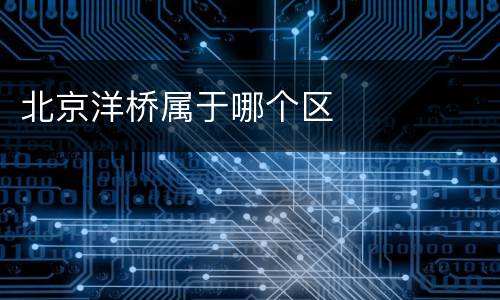 北京洋桥属于哪个区