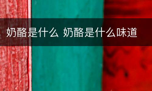 奶酪是什么 奶酪是什么味道