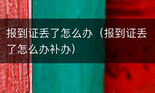 报到证丢了怎么办（报到证丢了怎么办补办）