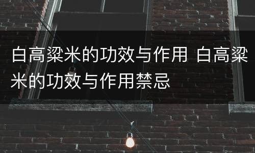 白高粱米的功效与作用 白高粱米的功效与作用禁忌