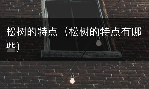 松树的特点（松树的特点有哪些）