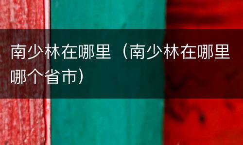 南少林在哪里（南少林在哪里哪个省市）