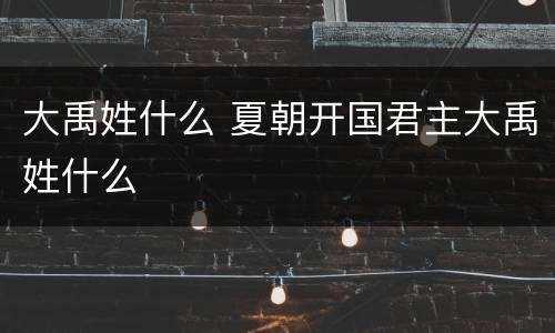 大禹姓什么 夏朝开国君主大禹姓什么