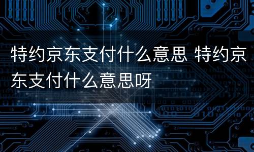 特约京东支付什么意思 特约京东支付什么意思呀