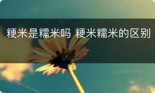 粳米是糯米吗 粳米糯米的区别