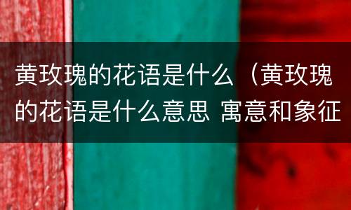 黄玫瑰的花语是什么（黄玫瑰的花语是什么意思 寓意和象征）