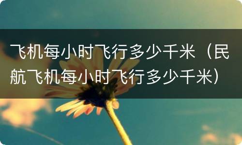 飞机每小时飞行多少千米（民航飞机每小时飞行多少千米）