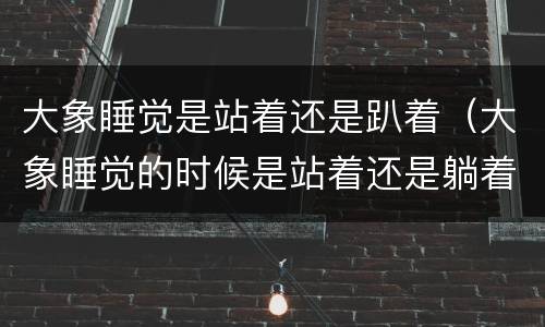 大象睡觉是站着还是趴着（大象睡觉的时候是站着还是躺着）