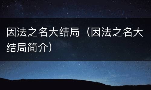 因法之名大结局（因法之名大结局简介）
