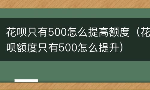 花呗只有500怎么提高额度（花呗额度只有500怎么提升）