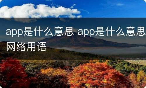 app是什么意思 app是什么意思网络用语