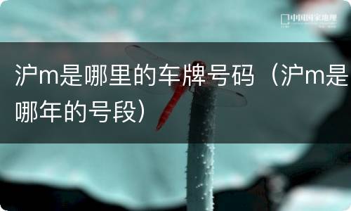 沪m是哪里的车牌号码（沪m是哪年的号段）
