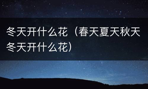 冬天开什么花（春天夏天秋天冬天开什么花）