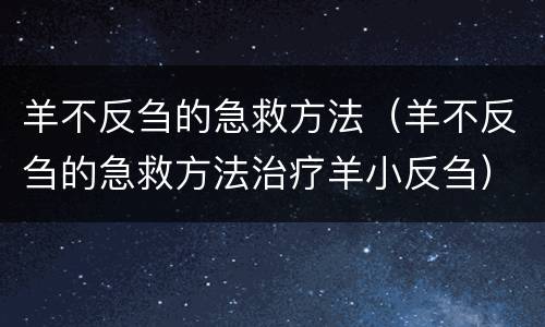羊不反刍的急救方法（羊不反刍的急救方法治疗羊小反刍）