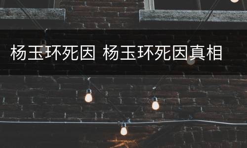 杨玉环死因 杨玉环死因真相
