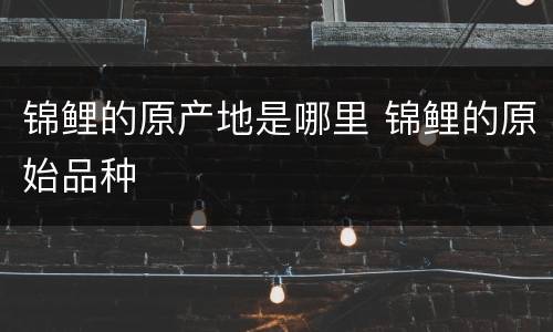 锦鲤的原产地是哪里 锦鲤的原始品种