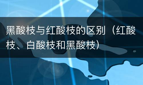 黑酸枝与红酸枝的区别（红酸枝、白酸枝和黑酸枝）