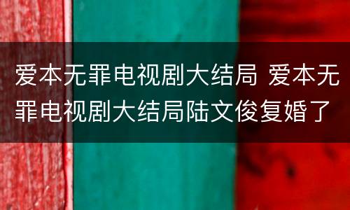 爱本无罪电视剧大结局 爱本无罪电视剧大结局陆文俊复婚了吗