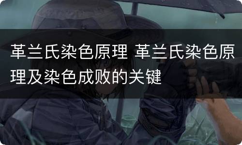 革兰氏染色原理 革兰氏染色原理及染色成败的关键