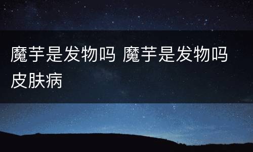 魔芋是发物吗 魔芋是发物吗 皮肤病