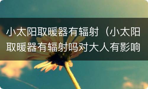 小太阳取暖器有辐射（小太阳取暖器有辐射吗对大人有影响吗）