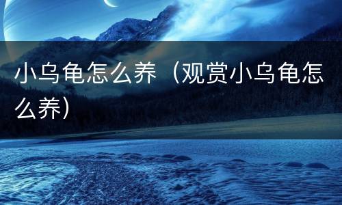 小乌龟怎么养（观赏小乌龟怎么养）