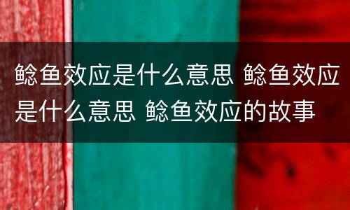 鲶鱼效应是什么意思 鲶鱼效应是什么意思 鲶鱼效应的故事