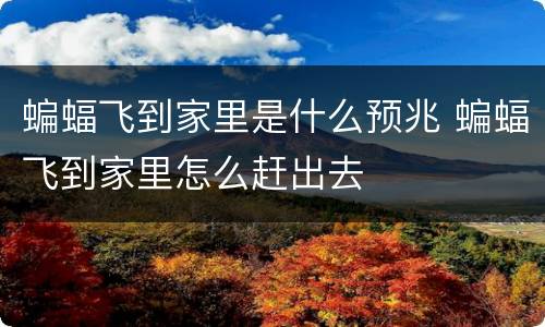 蝙蝠飞到家里是什么预兆 蝙蝠飞到家里怎么赶出去
