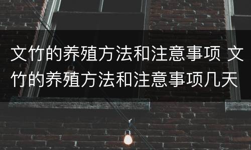 文竹的养殖方法和注意事项 文竹的养殖方法和注意事项几天浇水